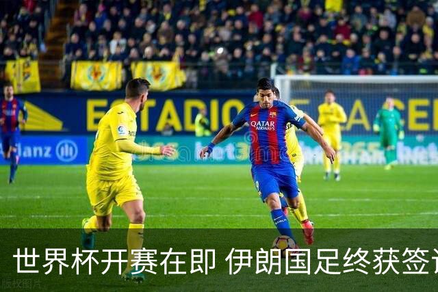 世界杯开赛在即 伊朗国足终获签证